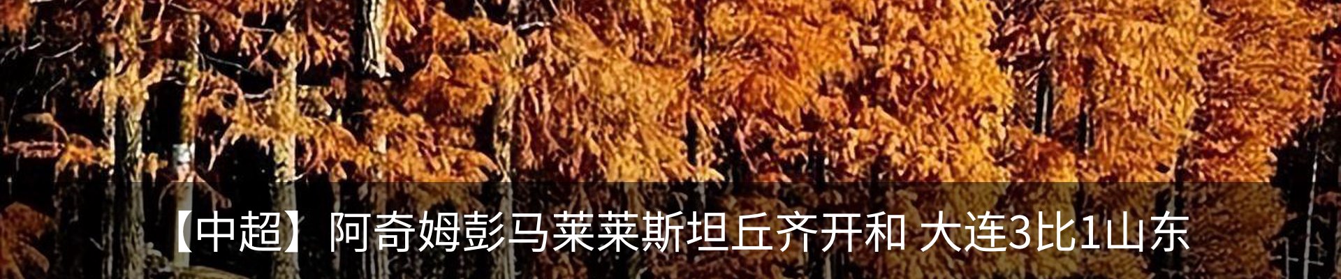 内页banner
