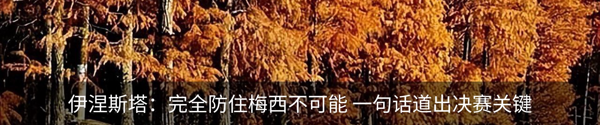 内页banner