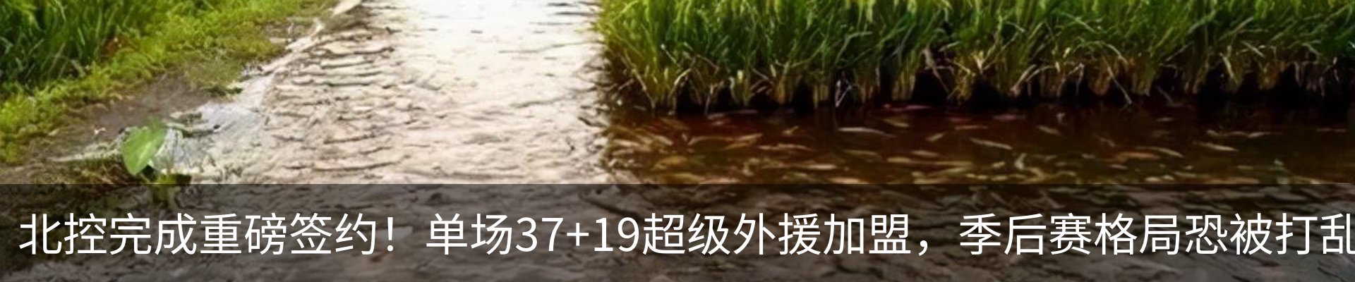 内页banner